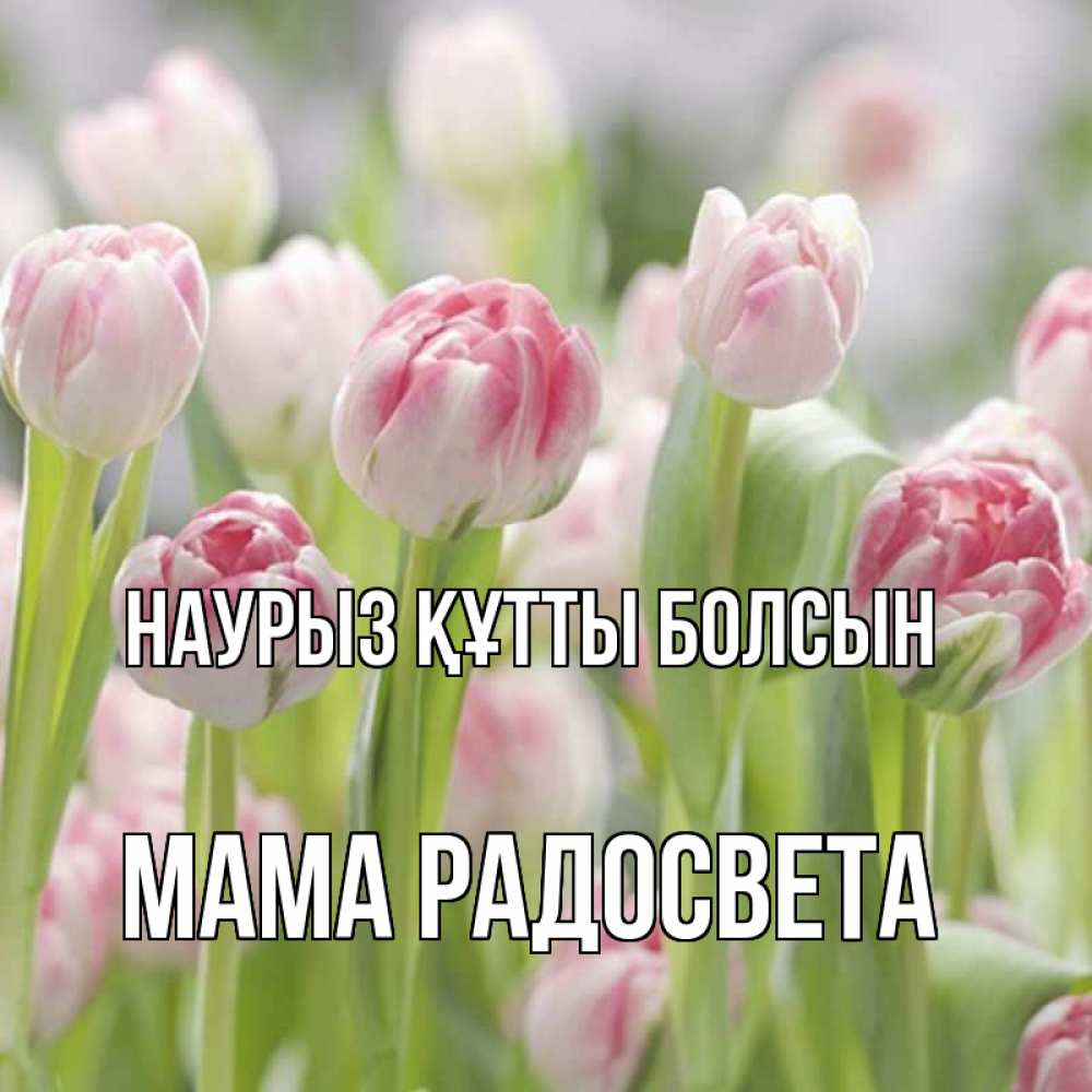 Открытка на каждый день с именем, Мама-Радосвета Наурыз құтты болсын цветы Прикольная открытка с пожеланием онлайн скачать бесплатно 