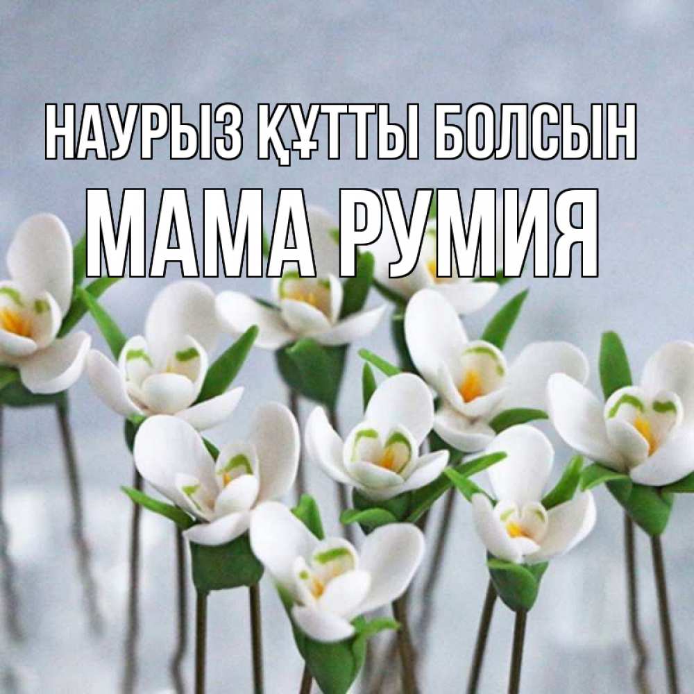 Открытка на каждый день с именем, Мама-Румия Наурыз құтты болсын весенние цветы Прикольная открытка с пожеланием онлайн скачать бесплатно 