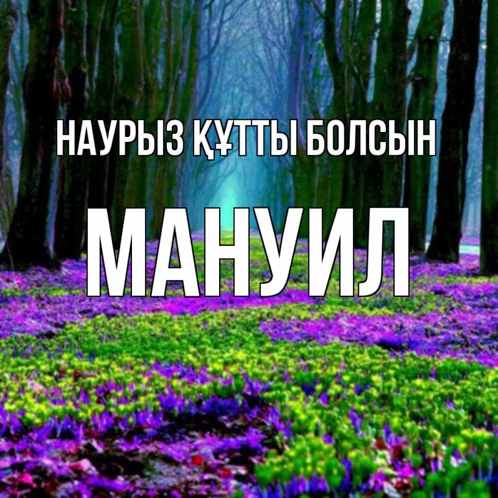 Открытка на каждый день с именем, Мануил Наурыз құтты болсын фиолетовые цветы в лесу 1 Прикольная открытка с пожеланием онлайн скачать бесплатно 