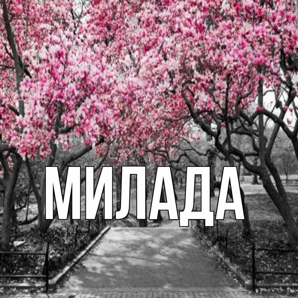 Открытка на каждый день с именем, Милада Главная обработанное фото Прикольная открытка с пожеланием онлайн скачать бесплатно 