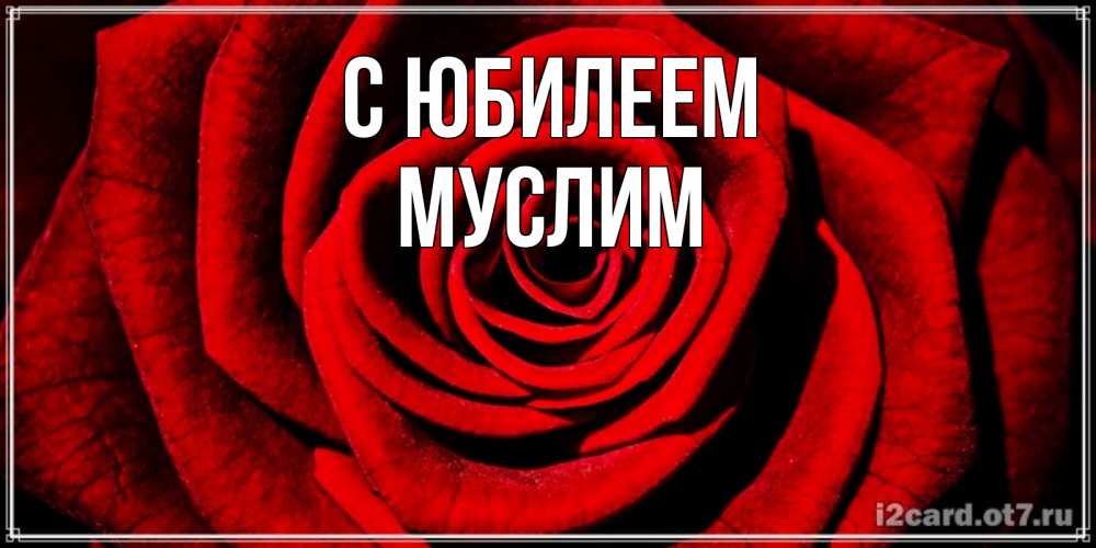 Открытка на каждый день с именем, Муслим С юбилеем алая роза Прикольная открытка с пожеланием онлайн скачать бесплатно 