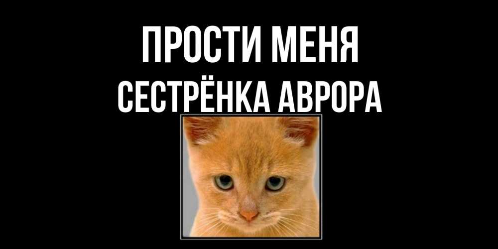 Открытка на каждый день с именем, Сестрёнка-Аврора Прости меня рыжий грустный кот просит прощения Прикольная открытка с пожеланием онлайн скачать бесплатно 