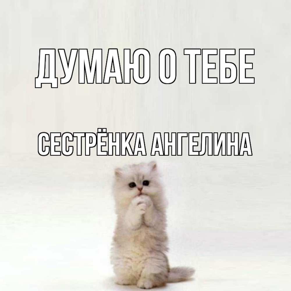 Открытка на каждый день с именем, Сестрёнка-Ангелина Думаю о тебе кот стоит на задних лапах Прикольная открытка с пожеланием онлайн скачать бесплатно 