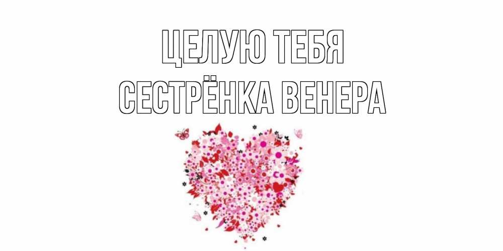 Открытка на каждый день с именем, Сестрёнка-Венера Целую тебя сердце Прикольная открытка с пожеланием онлайн скачать бесплатно 