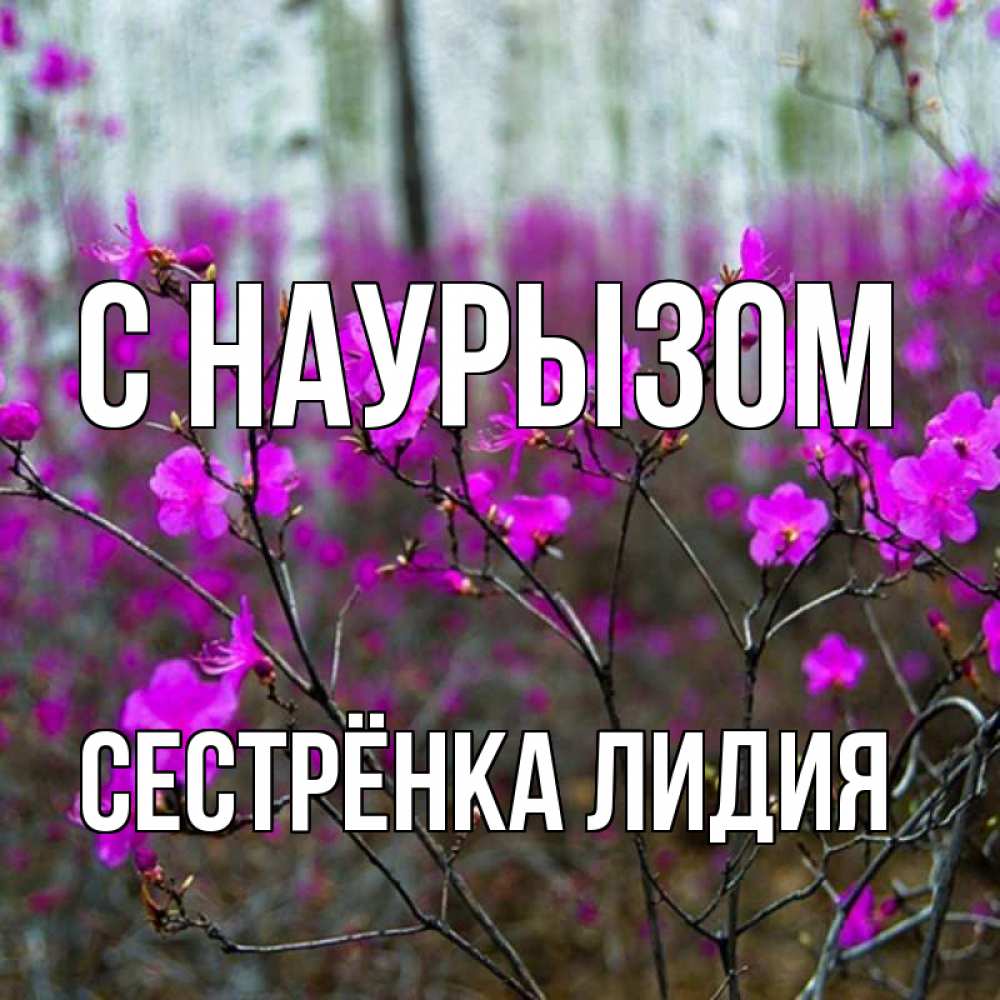 Открытка на каждый день с именем, Сестрёнка-Лидия С наурызом дикие цветы Прикольная открытка с пожеланием онлайн скачать бесплатно 