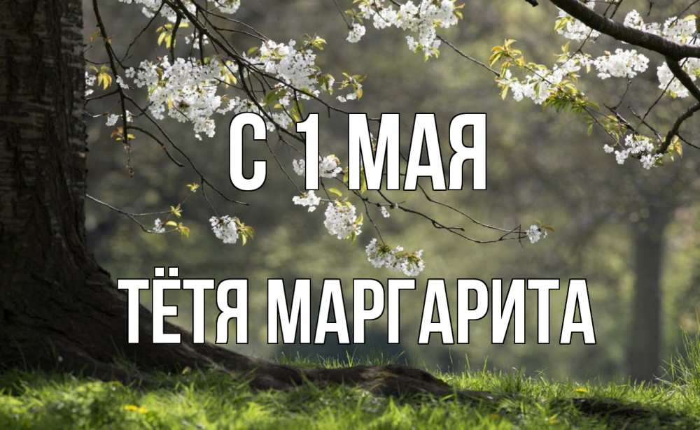Открытка на каждый день с именем, Тётя-Маргарита С 1 мая С 1 мая Прикольная открытка с пожеланием онлайн скачать бесплатно 