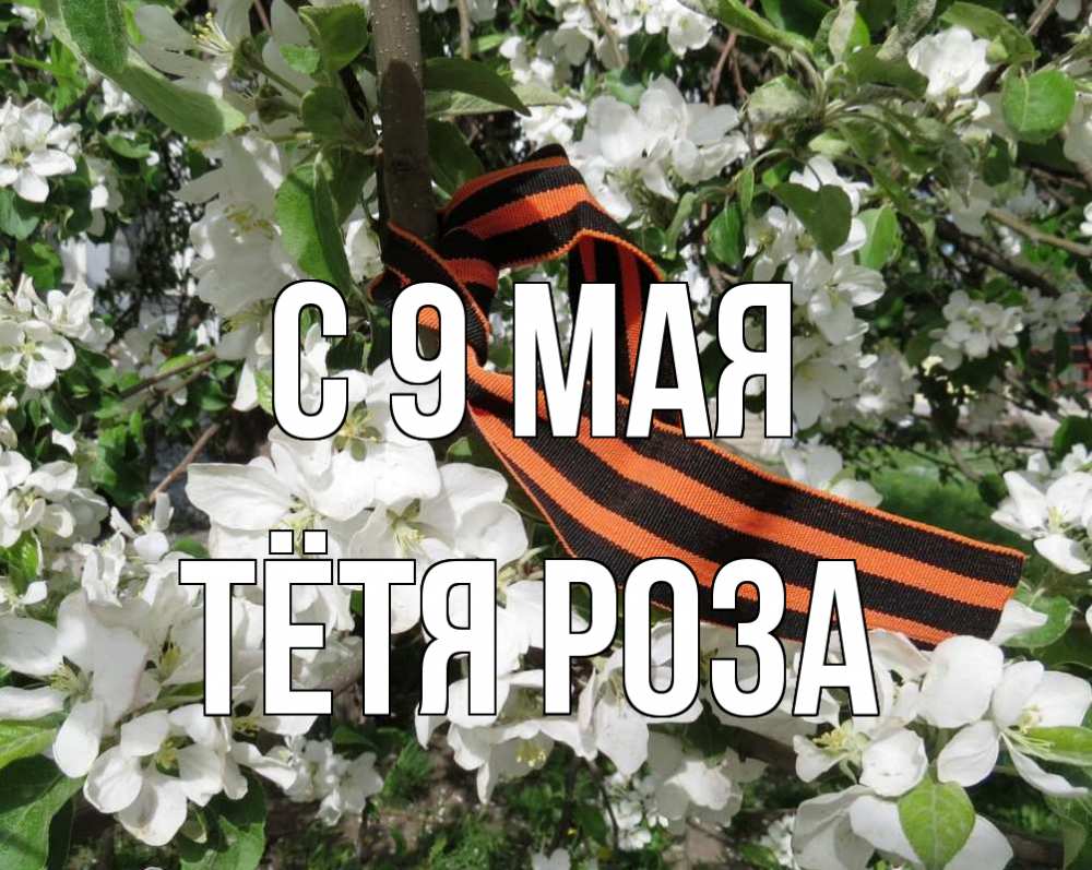 Открытка на каждый день с именем, Тётя-Роза С 9 мая 9 мая Прикольная открытка с пожеланием онлайн скачать бесплатно 