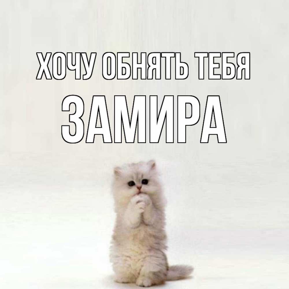 Мордочки, к тебе хочу картинки с надписями