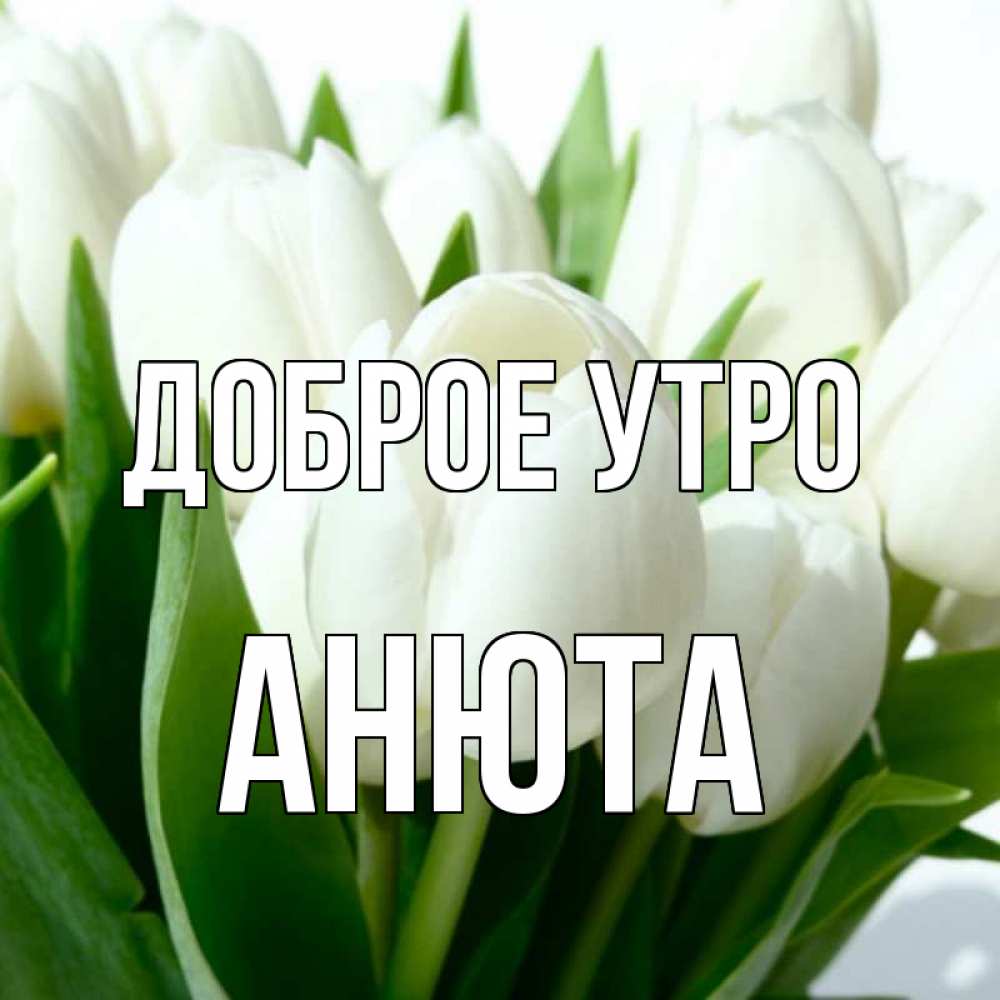 Открытка на каждый день с именем, Анюта Доброе утро открытки на каждый день по именам Прикольная открытка с пожеланием онлайн скачать бесплатно 
