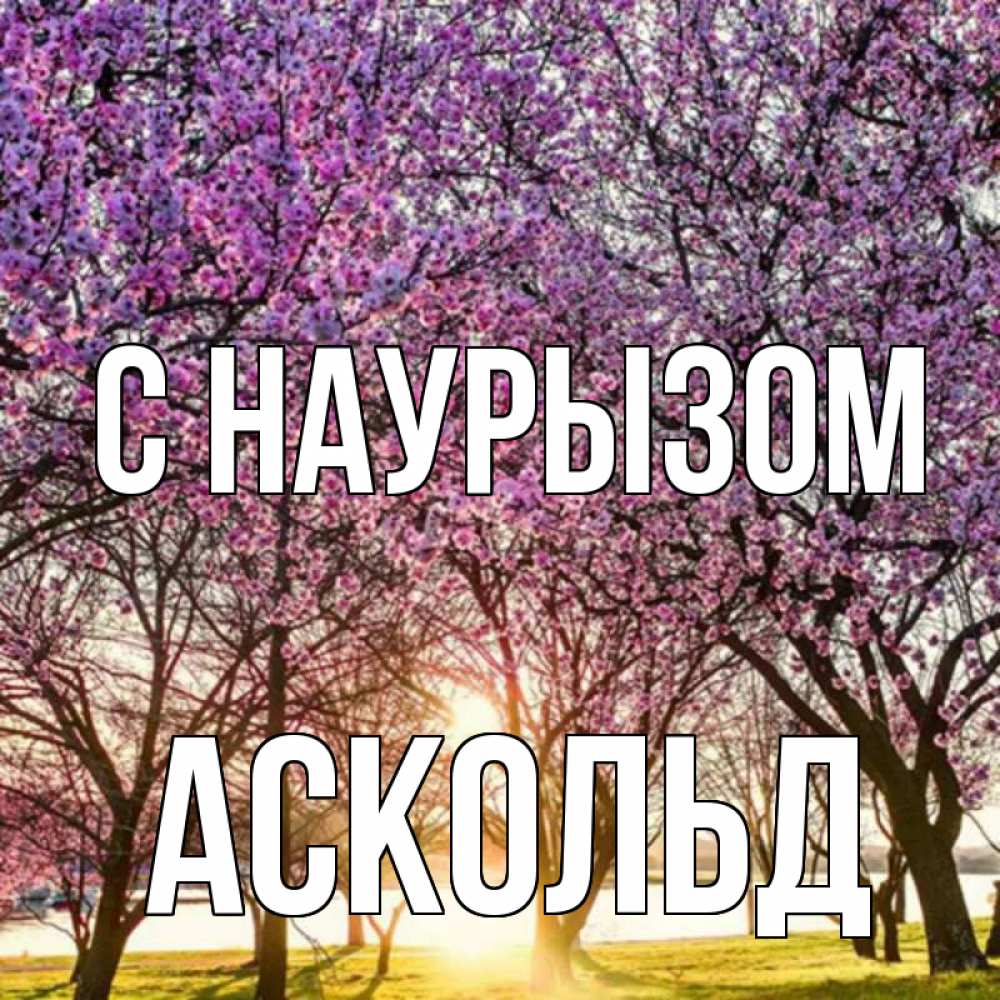Открытка на каждый день с именем, Аскольд С наурызом праздник весны наурыз Прикольная открытка с пожеланием онлайн скачать бесплатно 