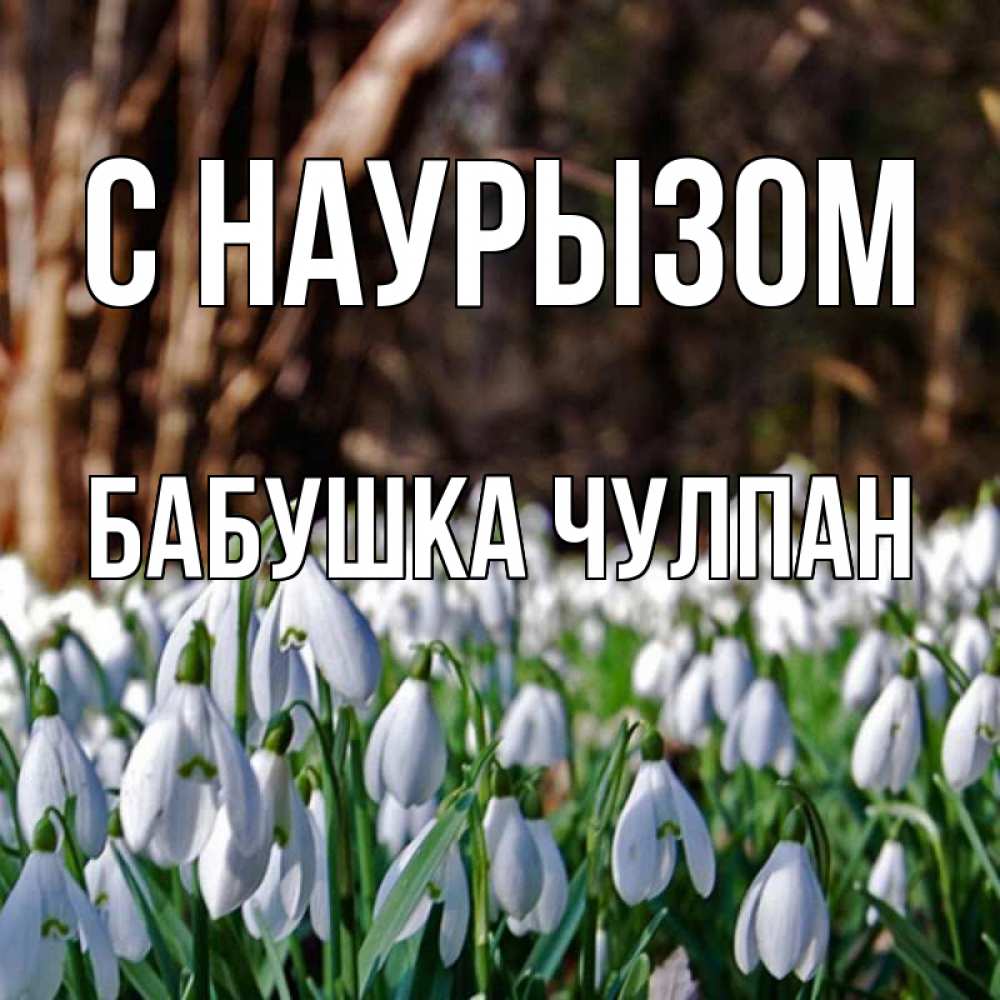 Открытка на каждый день с именем, Бабушка-Чулпан С наурызом с подснежниками 1 Прикольная открытка с пожеланием онлайн скачать бесплатно 