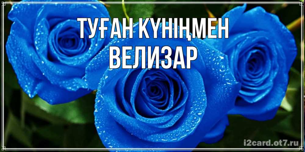 Открытка на каждый день с именем, Велизар Туған күніңмен розы с синим цветом Прикольная открытка с пожеланием онлайн скачать бесплатно 