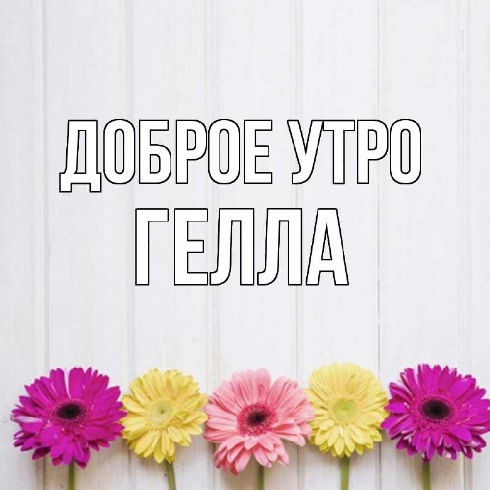 Открытка на каждый день с именем, Гелла Доброе утро красный желтый и розовый цветок Прикольная открытка с пожеланием онлайн скачать бесплатно 