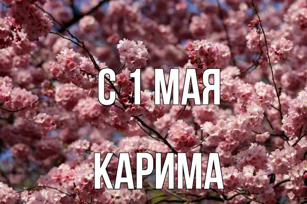 Открытка на каждый день с именем, Карима С 1 мая С 1 мая Прикольная открытка с пожеланием онлайн скачать бесплатно 