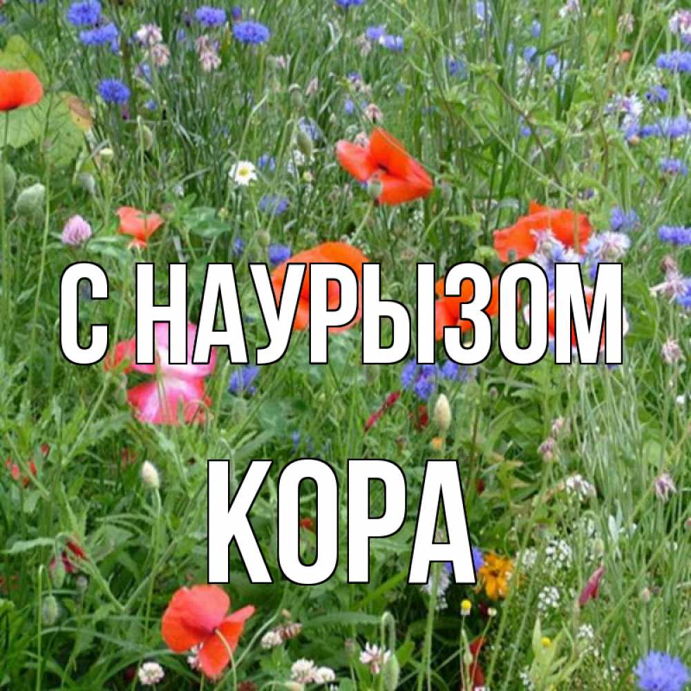 Открытка на каждый день с именем, Кора С наурызом праздник весны наурыз супер открытка Прикольная открытка с пожеланием онлайн скачать бесплатно 