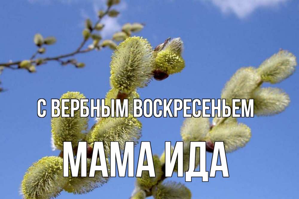 Открытка на каждый день с именем, Мама-Ида С вербным воскресеньем верба Прикольная открытка с пожеланием онлайн скачать бесплатно 