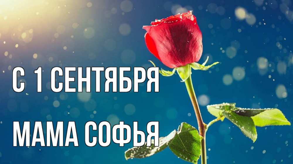 Открытка на каждый день с именем, Мама-Софья С 1 сентября с днем знаний Прикольная открытка с пожеланием онлайн скачать бесплатно 