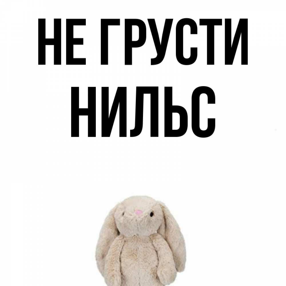 Открытка на каждый день с именем, Нильс Не грусти детская игрушка зайчика Прикольная открытка с пожеланием онлайн скачать бесплатно 