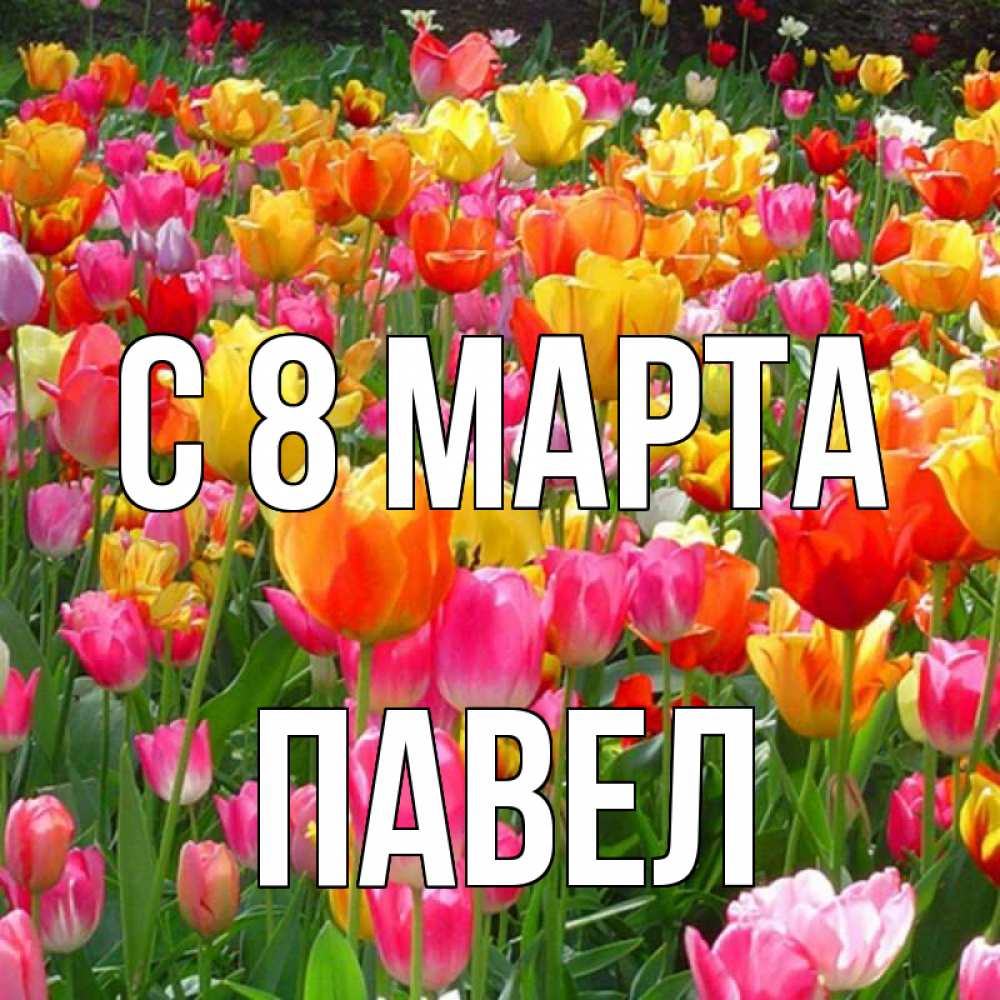 Открытка на каждый день с именем, Павел С 8 МАРТА на международный женский день Прикольная открытка с пожеланием онлайн скачать бесплатно 