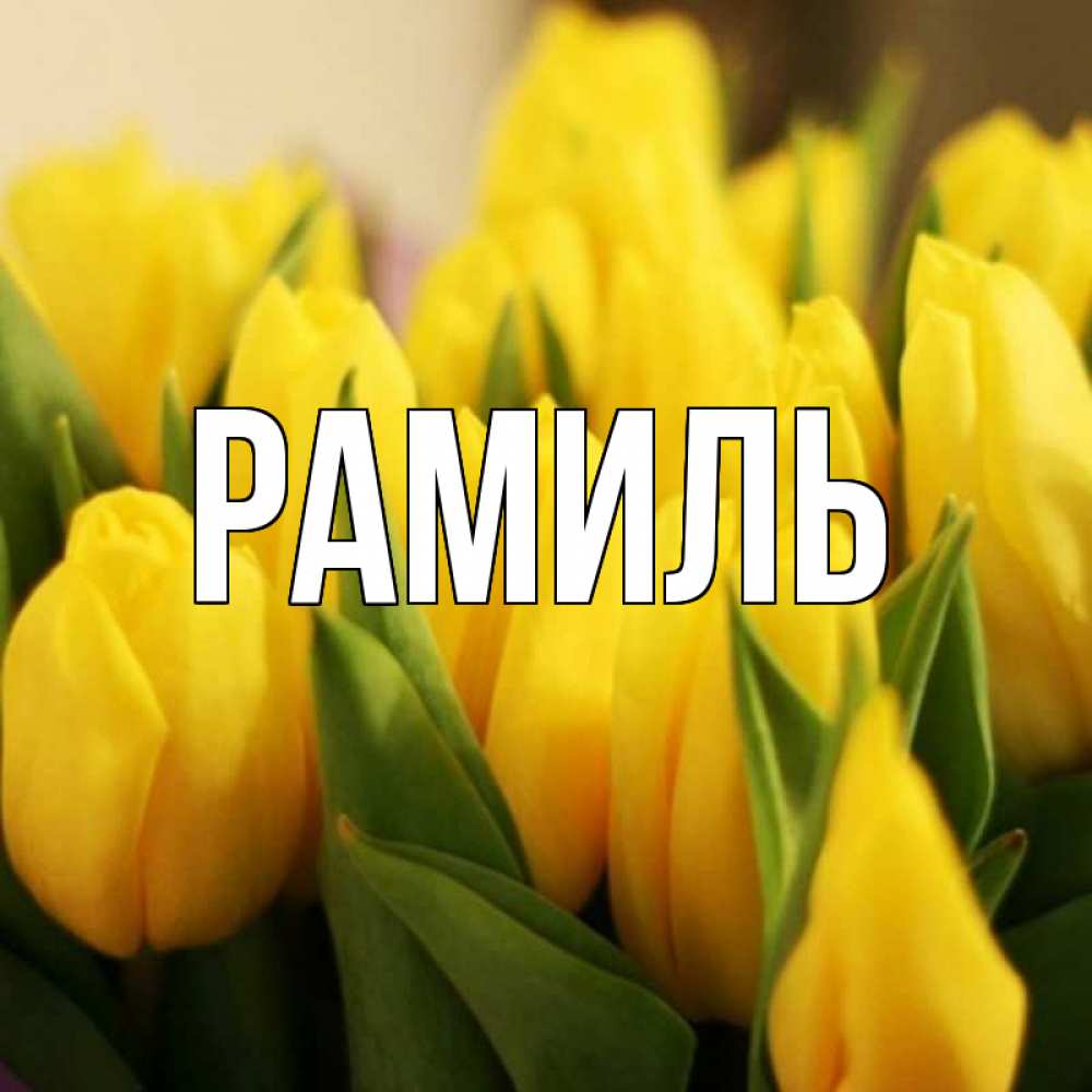 Открытка на каждый день с именем, Рамиль Главная цветы Прикольная открытка с пожеланием онлайн скачать бесплатно 