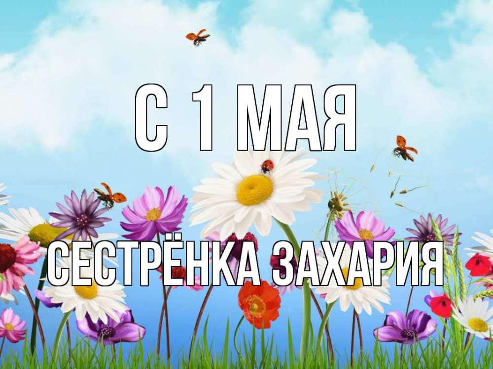 Открытка на каждый день с именем, Сестрёнка-Захария С 1 мая С 1 мая Прикольная открытка с пожеланием онлайн скачать бесплатно 