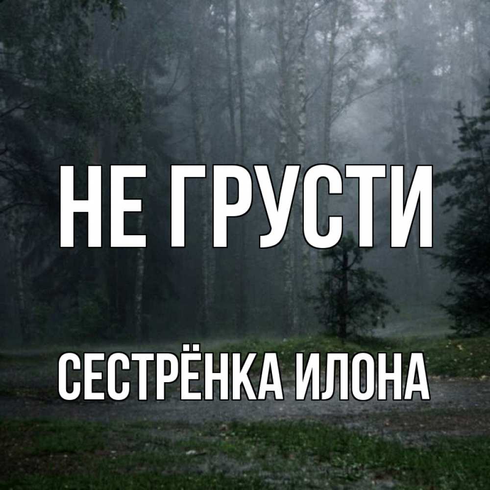 Открытка на каждый день с именем, Сестрёнка-Илона Не грусти осень Прикольная открытка с пожеланием онлайн скачать бесплатно 
