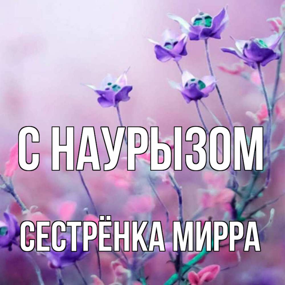 Открытка на каждый день с именем, Сестрёнка-Мирра С наурызом международный женский день 2 Прикольная открытка с пожеланием онлайн скачать бесплатно 