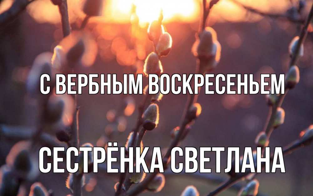 Открытка на каждый день с именем, Сестрёнка-Светлана С вербным воскресеньем верба Прикольная открытка с пожеланием онлайн скачать бесплатно 