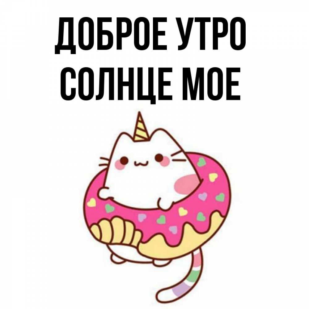 Открытка на каждый день с именем, Солнце-мое Доброе утро кот в бублике Прикольная открытка с пожеланием онлайн скачать бесплатно 