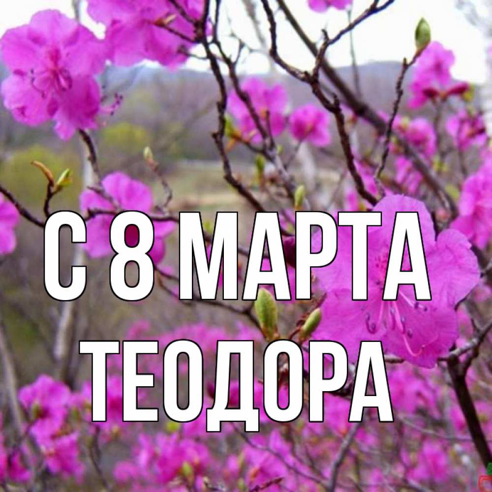 Открытка на каждый день с именем, Теодора С 8 МАРТА международный женский день Прикольная открытка с пожеланием онлайн скачать бесплатно 