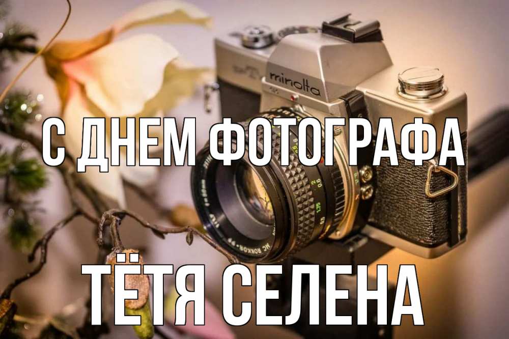 Открытка на каждый день с именем, Тётя-Селена С днем фотографа с днем фотографа 1 Прикольная открытка с пожеланием онлайн скачать бесплатно 
