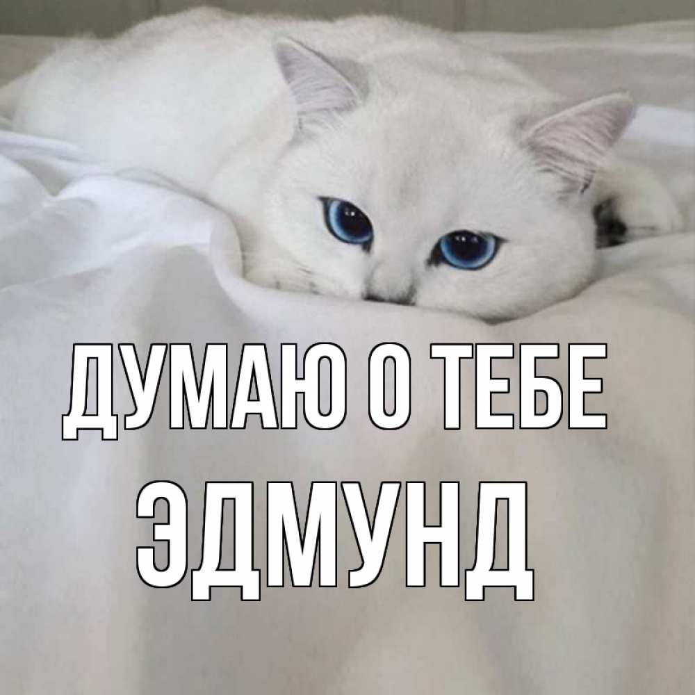 Открытка на каждый день с именем, Эдмунд Думаю о тебе я очень по тебе скучаю и тоскую Прикольная открытка с пожеланием онлайн скачать бесплатно 