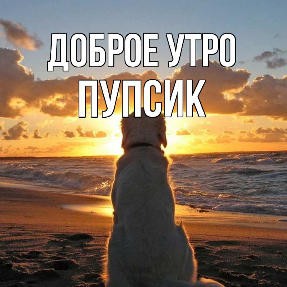 Открытка на каждый день с именем, пупсик Доброе утро восход солнца Прикольная открытка с пожеланием онлайн скачать бесплатно 