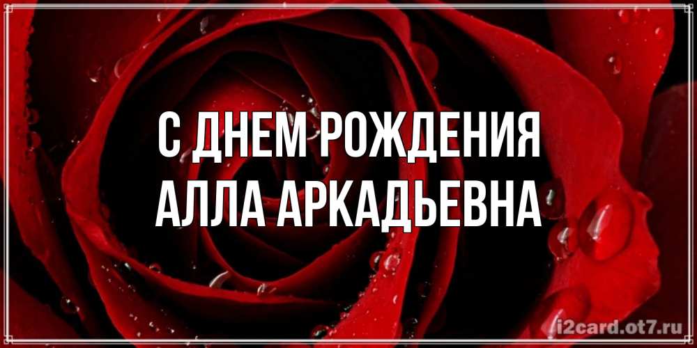 Открытка на каждый день с именем, Алла-Аркадьевна С днем рождения крупная бордовая роза Прикольная открытка с пожеланием онлайн скачать бесплатно 