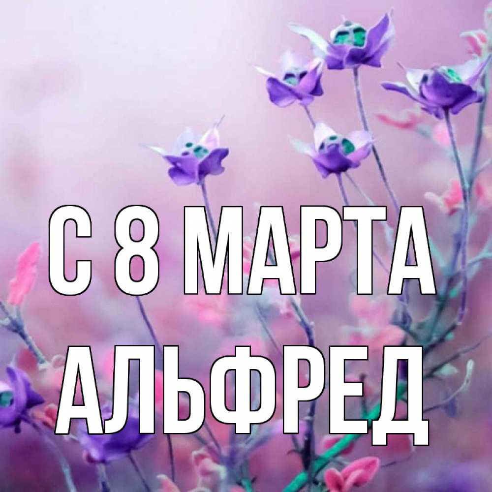 Открытка на каждый день с именем, Альфред С 8 МАРТА международный женский день 2 Прикольная открытка с пожеланием онлайн скачать бесплатно 