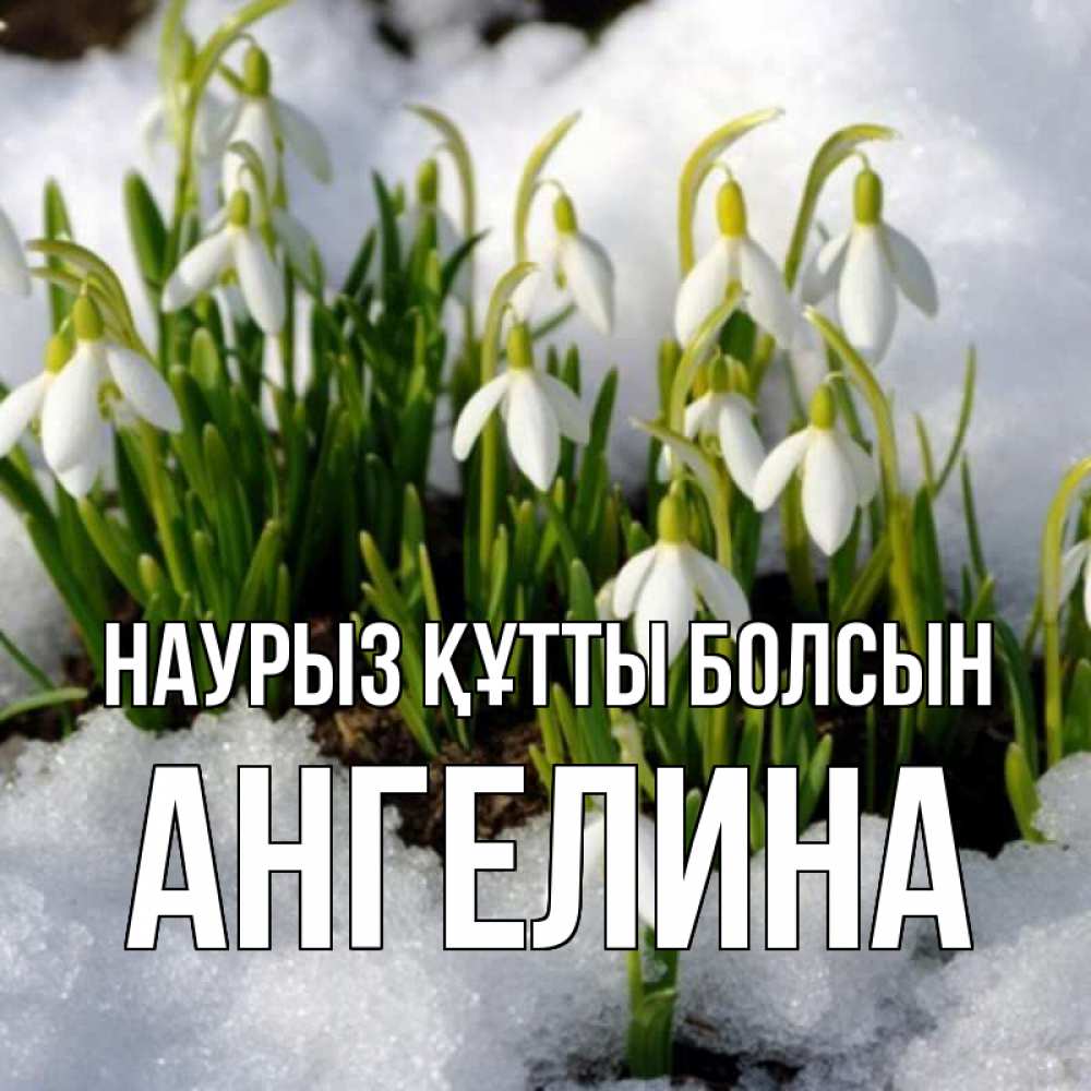 Открытка на каждый день с именем, Ангелина Наурыз құтты болсын цветы весенние Прикольная открытка с пожеланием онлайн скачать бесплатно 