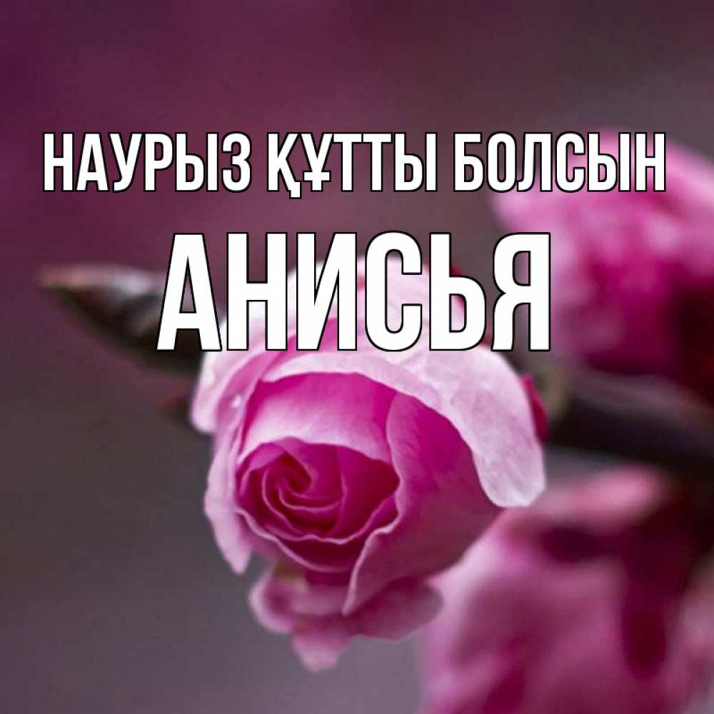 Открытка на каждый день с именем, Анисья Наурыз құтты болсын весна Прикольная открытка с пожеланием онлайн скачать бесплатно 