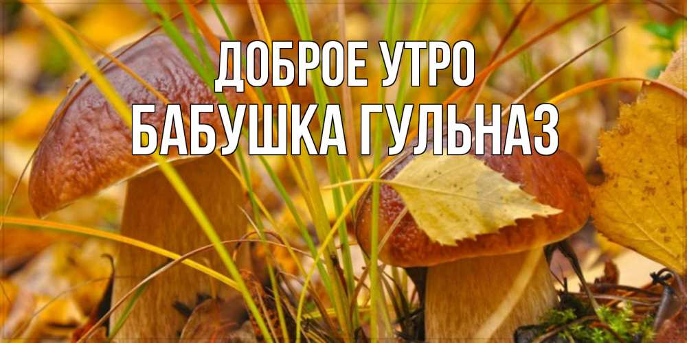 Открытка на каждый день с именем, Бабушка-Гульназ Доброе утро осенние грибы Прикольная открытка с пожеланием онлайн скачать бесплатно 