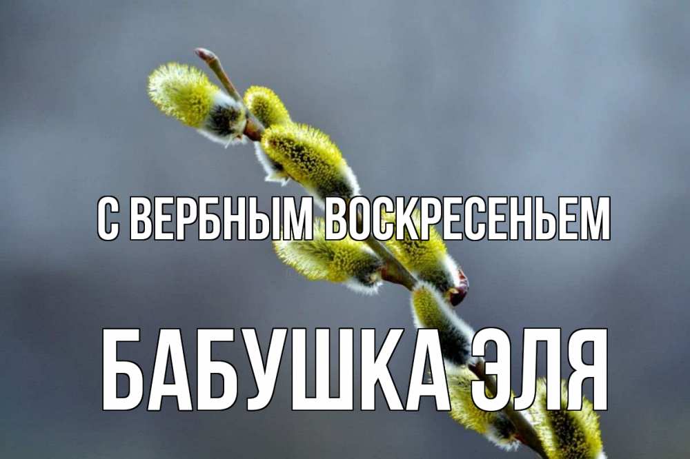 Открытка на каждый день с именем, Бабушка-Эля С вербным воскресеньем верба Прикольная открытка с пожеланием онлайн скачать бесплатно 