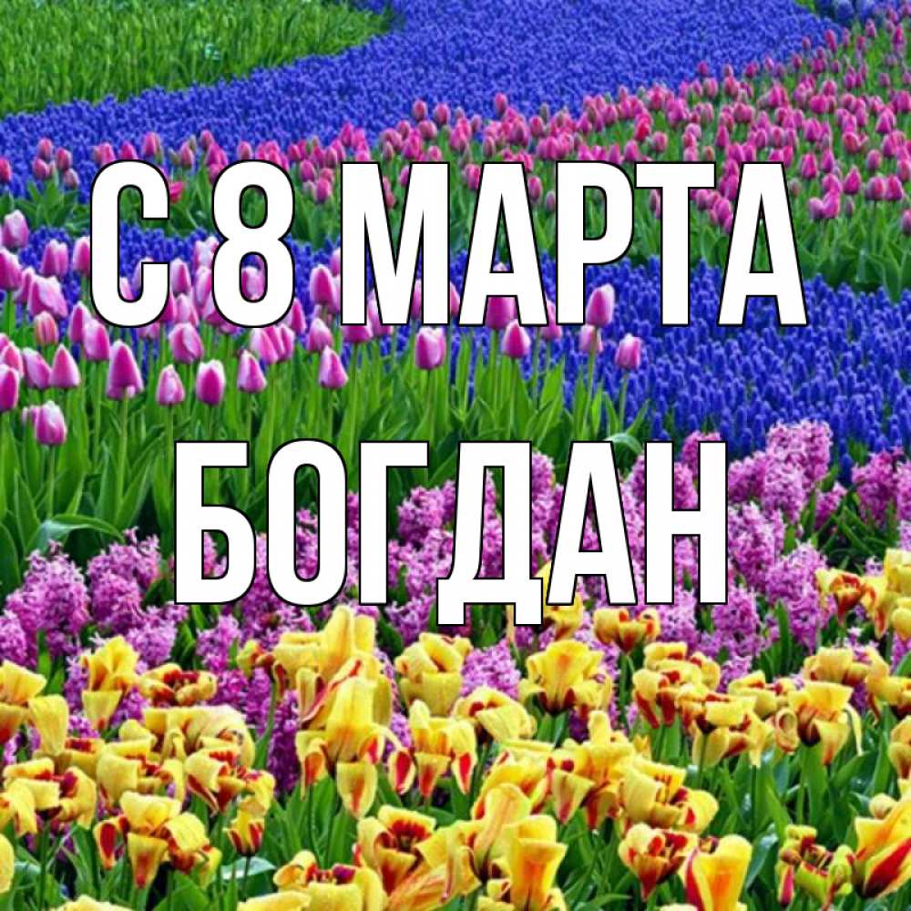Открытка на каждый день с именем, Богдан С 8 МАРТА цветы Прикольная открытка с пожеланием онлайн скачать бесплатно 