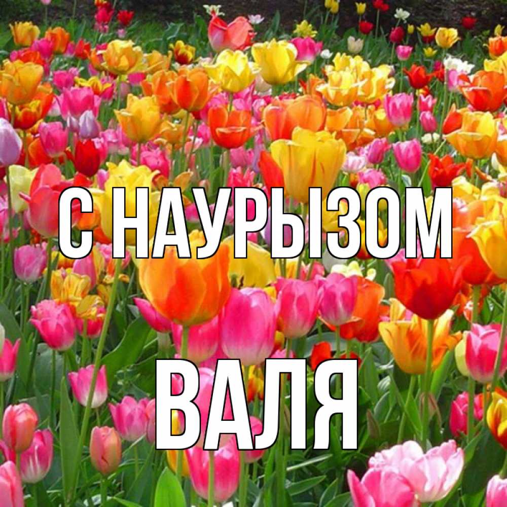 Открытка на каждый день с именем, Валя С наурызом праздник весны наурыз 4 Прикольная открытка с пожеланием онлайн скачать бесплатно 