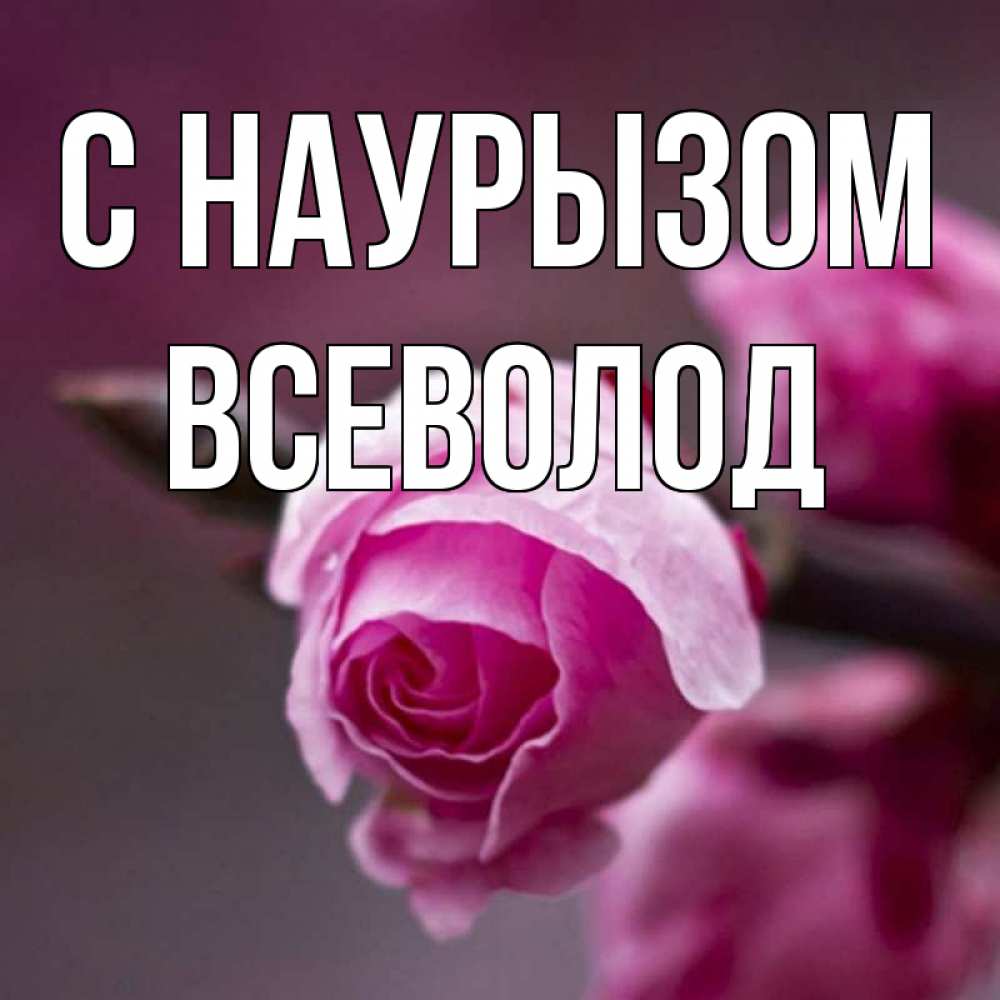 Открытка на каждый день с именем, Всеволод С наурызом весна Прикольная открытка с пожеланием онлайн скачать бесплатно 