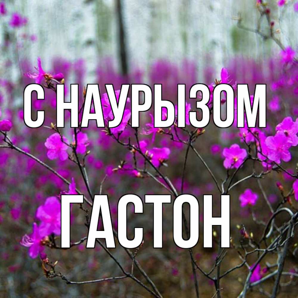Открытка на каждый день с именем, Гастон С наурызом дикие цветы Прикольная открытка с пожеланием онлайн скачать бесплатно 