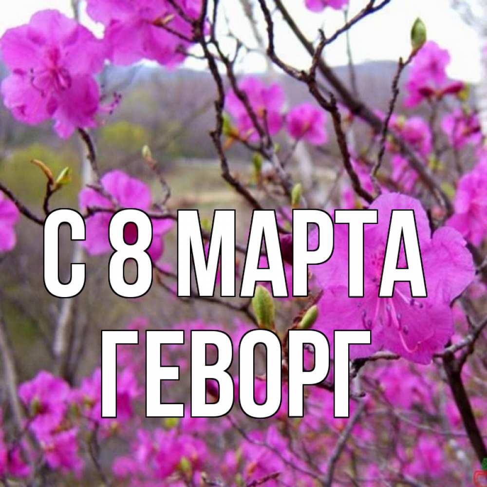 Открытка на каждый день с именем, Геворг С 8 МАРТА международный женский день Прикольная открытка с пожеланием онлайн скачать бесплатно 