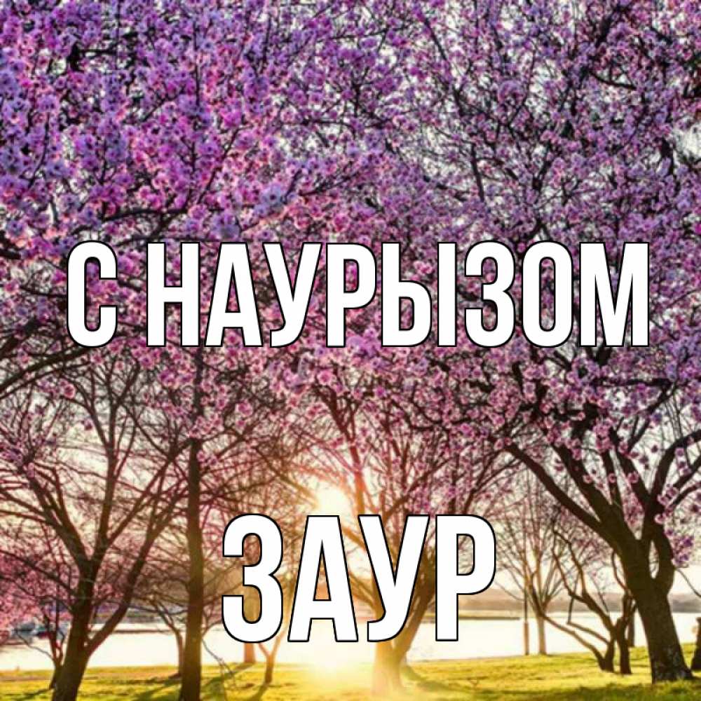 Открытка на каждый день с именем, Заур С наурызом праздник весны наурыз Прикольная открытка с пожеланием онлайн скачать бесплатно 