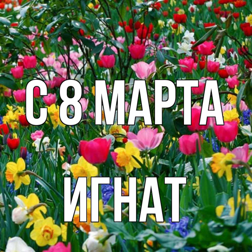 Открытка на каждый день с именем, Игнат С 8 МАРТА с международным женским днем поздравления для женщины Прикольная открытка с пожеланием онлайн скачать бесплатно 