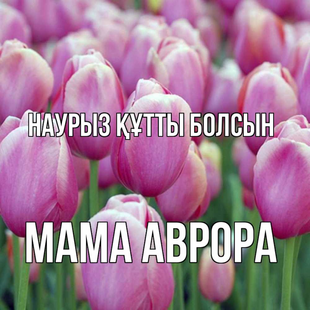 Открытка на каждый день с именем, Мама-Аврора Наурыз құтты болсын на наурыз  день 3 Прикольная открытка с пожеланием онлайн скачать бесплатно 