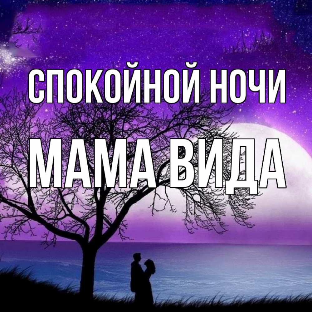 Открытка на каждый день с именем, Мама-Вида Спокойной ночи огромная луна и парочка Прикольная открытка с пожеланием онлайн скачать бесплатно 
