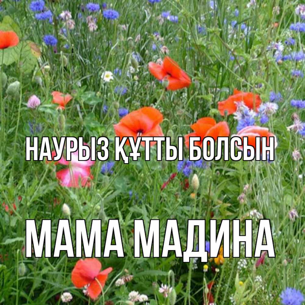 Открытка на каждый день с именем, Мама-Мадина Наурыз құтты болсын наурыз  4 Прикольная открытка с пожеланием онлайн скачать бесплатно 