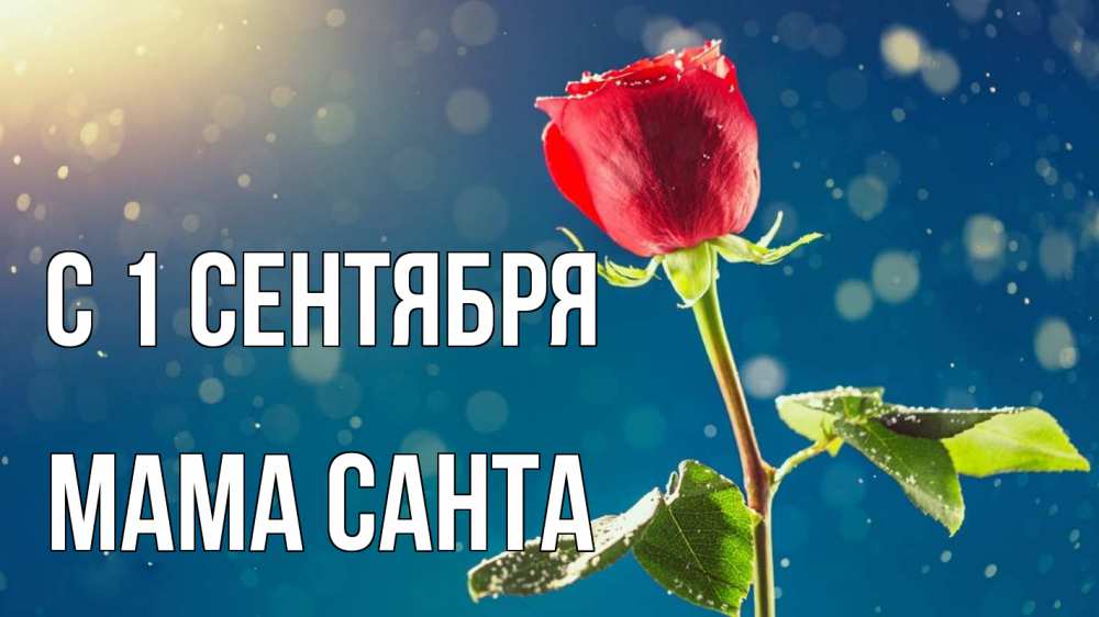 Открытка на каждый день с именем, Мама-Санта С 1 сентября с днем знаний Прикольная открытка с пожеланием онлайн скачать бесплатно 
